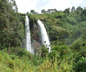 7 days Uganda wildlife safari Kidepo Valley & Mount Elgon hiking tour