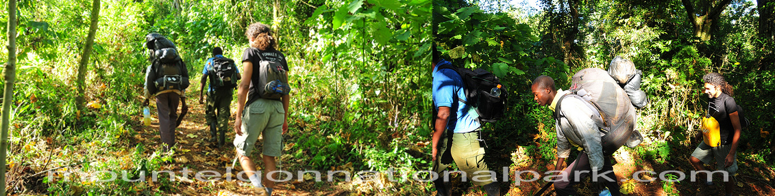 5 days Mount Elgon National Park Uganda mountaineering safari