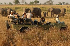 7 days Uganda wildlife safari Kidepo Valley & Mount Elgon hiking tour