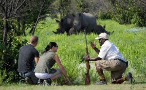 7 days Uganda wildlife safari Kidepo Valley & Mount Elgon hiking tour